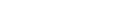 Website development for the Hosting company «RackStore»